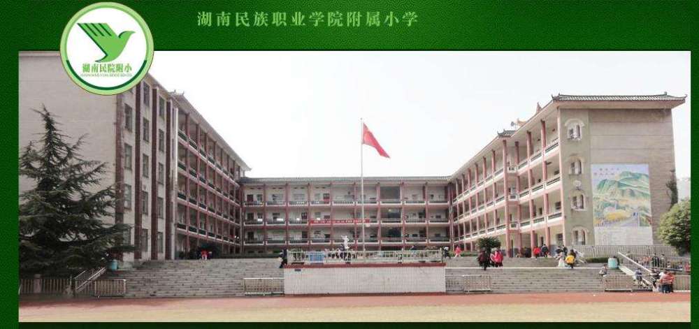 岳阳,朝阳小学,东方红小学,南湖小学,东升小学