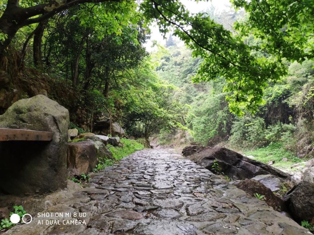 平阳县,岭根村,鳌江镇,梅源社区,大峡谷,峡谷