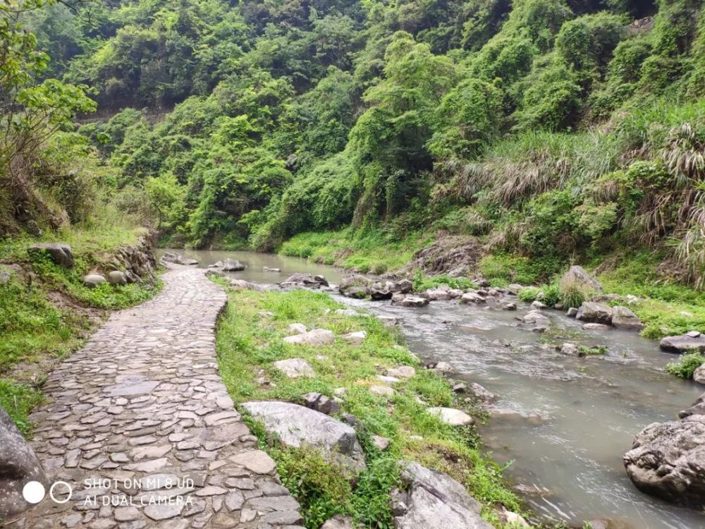 平阳县,岭根村,鳌江镇,梅源社区,大峡谷,峡谷