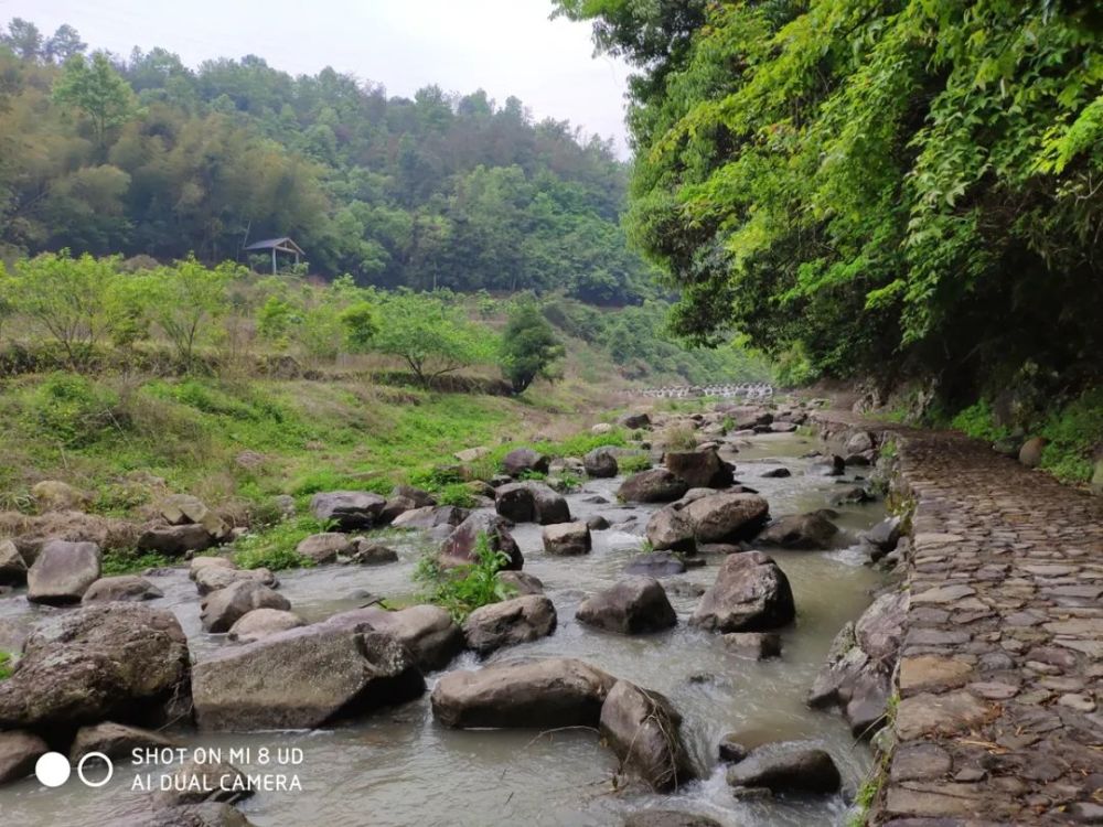 平阳县,岭根村,鳌江镇,梅源社区,大峡谷,峡谷
