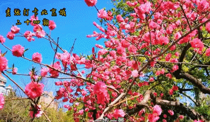 免费!人少!藏在北京城里的漂亮公园,赏心悦目!