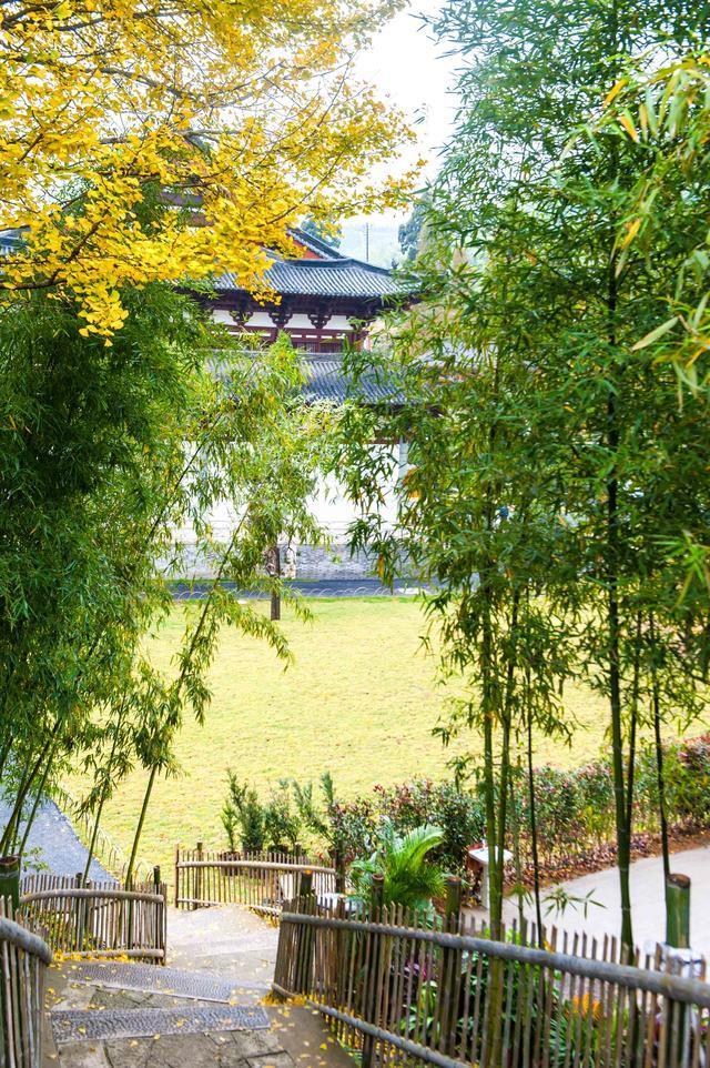 杭州有座距今1200余年的古刹,藏在山顶风景幽静,超适合散心礼佛