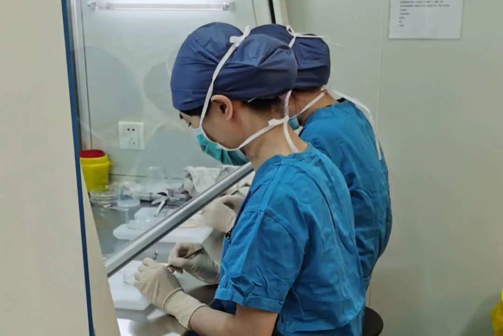 因骨髓移植 11岁女孩面临生育力丧失 北京妇产医院成功为其进行卵巢