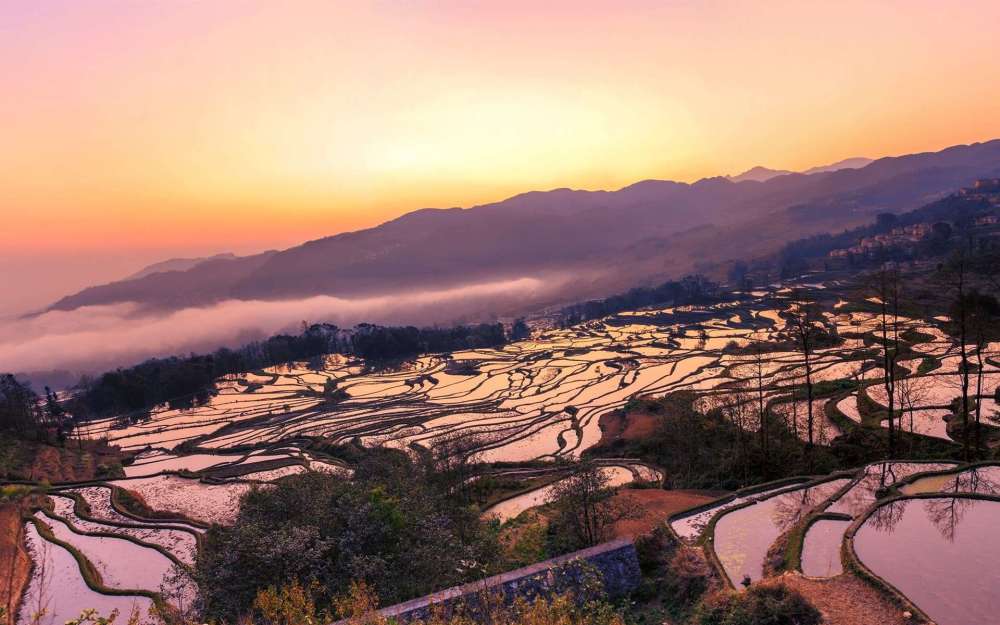 红河哈尼族彝族自治州>元阳县 摄影,梯田景观游,梯田,古村落 旅游攻略