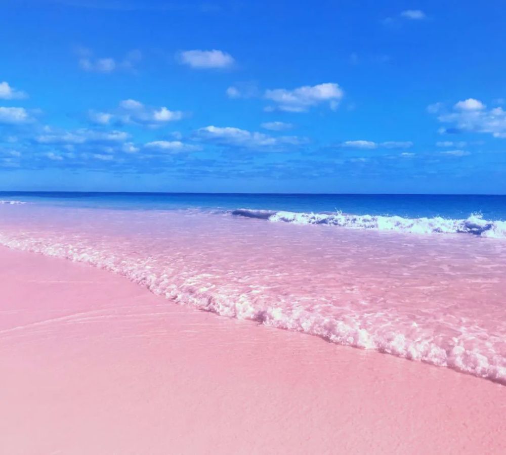 揭秘浪漫的粉色沙滩,是如何形成的,看完你还想去吗?