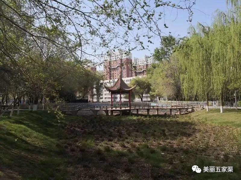 留下五家渠人儿时记忆的公园——军垦公园