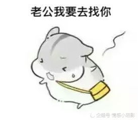 仓鼠夫妻表情包:一个人默默地想老婆