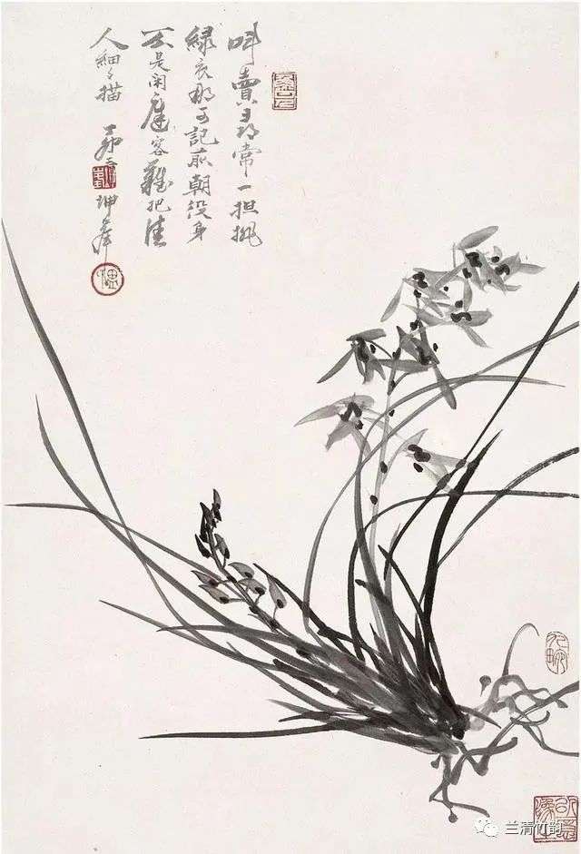 怎样画兰:书画名家卢坤峰分步骤演示画兰写兰的国画技法,附潘天寿