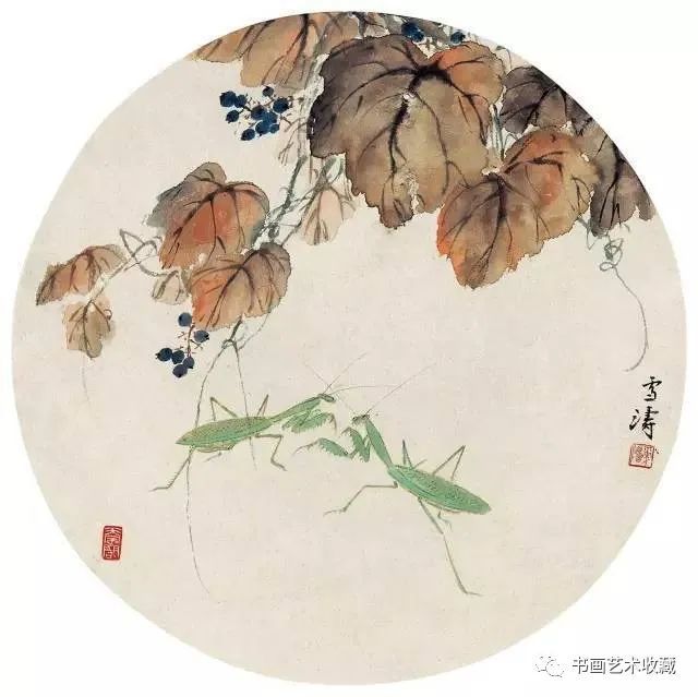 葡萄,墨葡萄,葡萄图,八大山人,徐渭,王雪涛