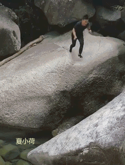 搞笑gif趣图:伴娘集体发疯了,唯有新娘子还保持矜持!