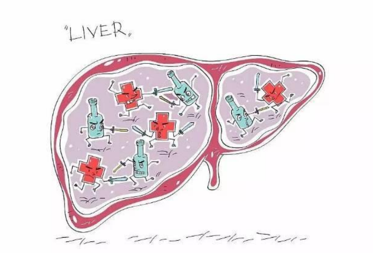 4大表现,说明肝毒很深!多吃这一物,给你的肝脏"洗洗澡!