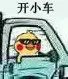 搞笑小黄鸡开车表情包,小姐 快上车