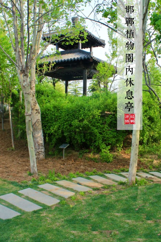 邯郸植物园,好拍!