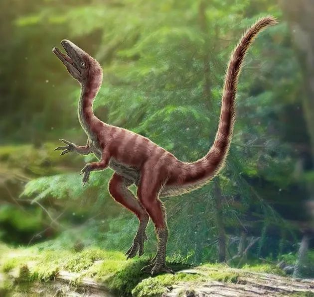 河北发现恐龙化石,个头和鸡差不多,亚洲最小,性情凶猛