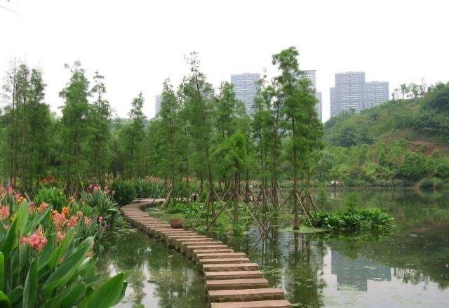 重庆最受欢迎的公园,投资高达7.3亿元,隐藏于主城区