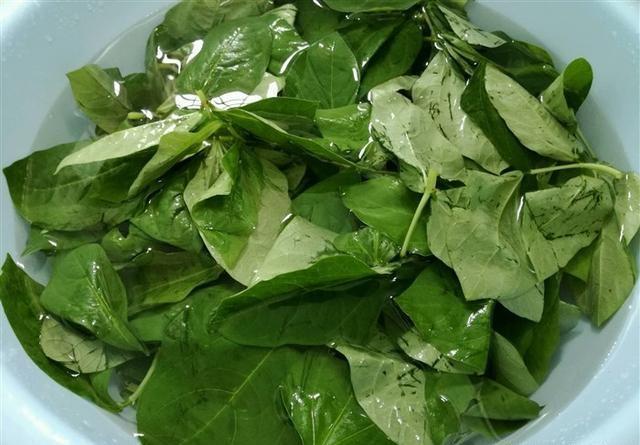 豆角叶炒豆角,小时候的味道