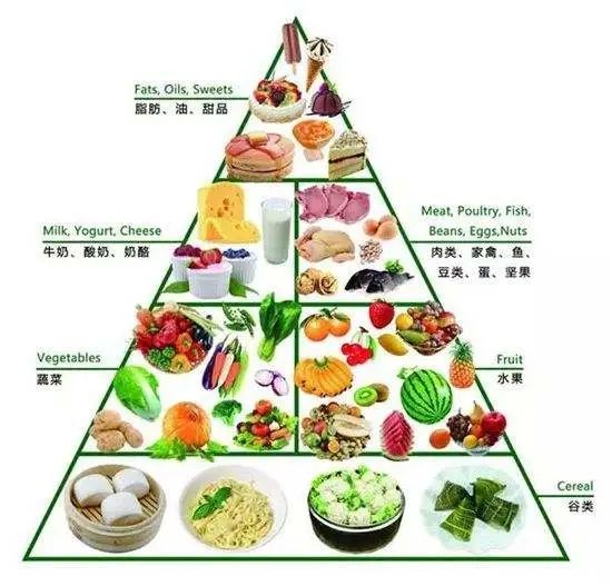 01 平衡膳食又称合理膳食或称健康膳食.