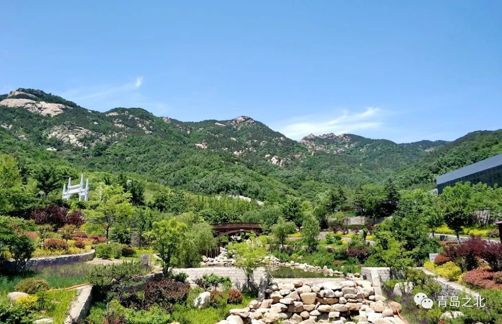 青岛,城阳,崂山,李沧,丹山