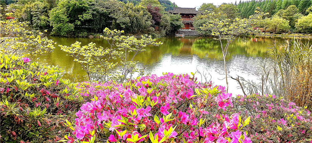 吉安视觉:踏青赏花好去处 茨坪挹翠湖公园风景如画