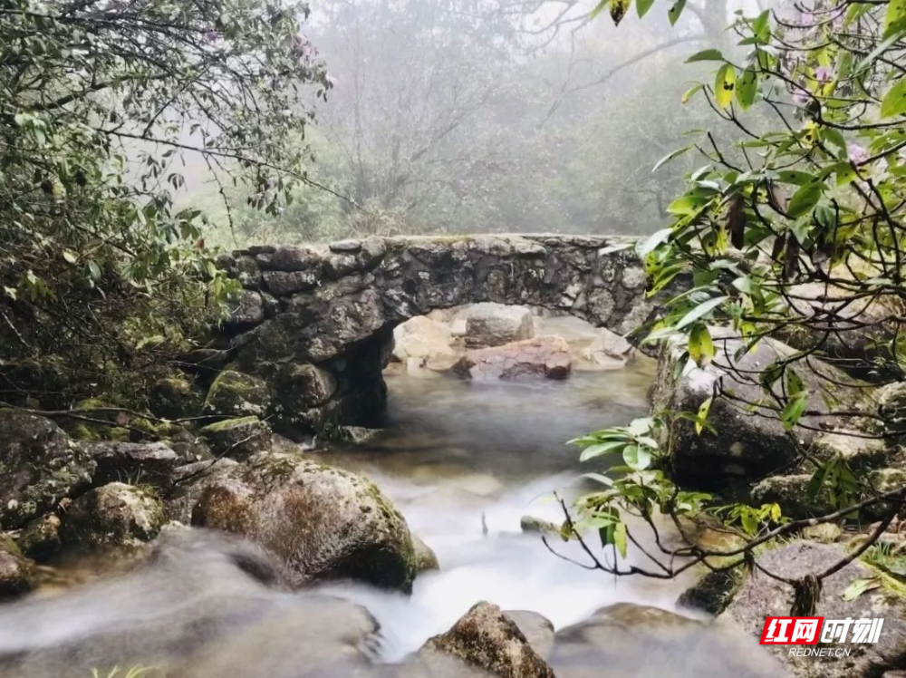 炎陵县,旅游景区,古道