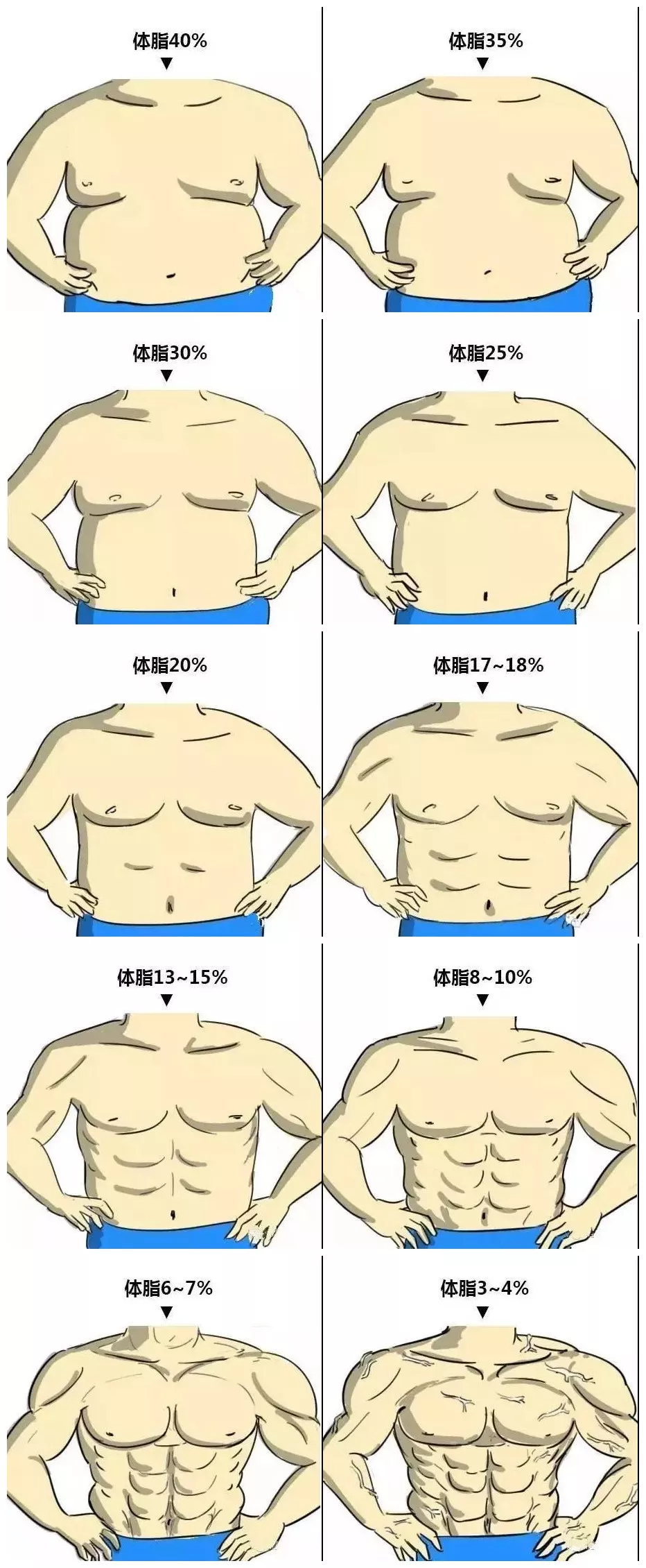 打造完美腰腹是腹肌马甲线的必备条件