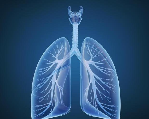 肺不好的人,多吃三白,远离四气,坚持五件事,肺部越来越健康