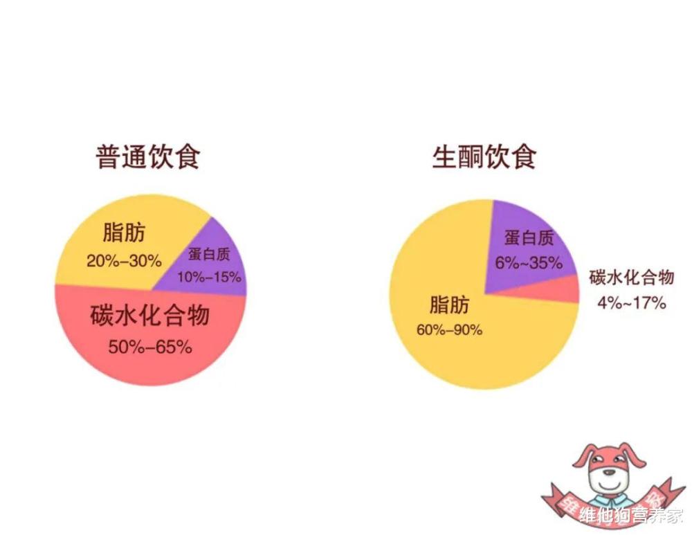 解密生酮饮食减肥法的