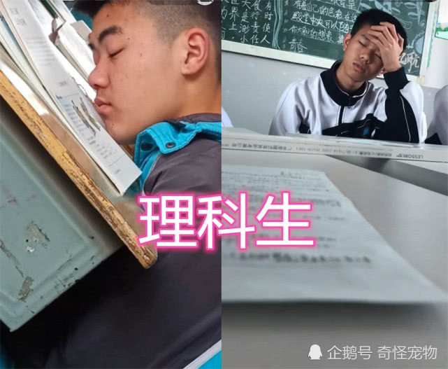 体育生:课桌打篮球很爽,文科生:补补妆算了,理科生:梦