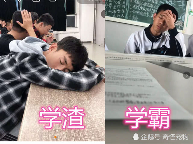 同样是上课睡觉,学渣vs学霸,差距过大,班主任:怕不是当我瞎