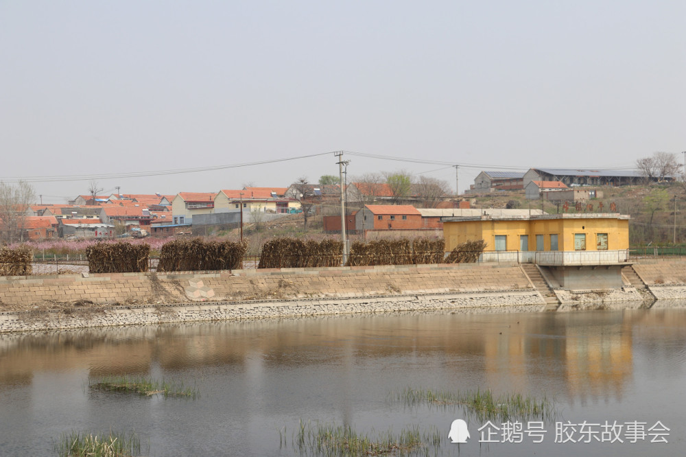 组图:海阳市小纪镇牛根树村,因"流苏"而得名的地方