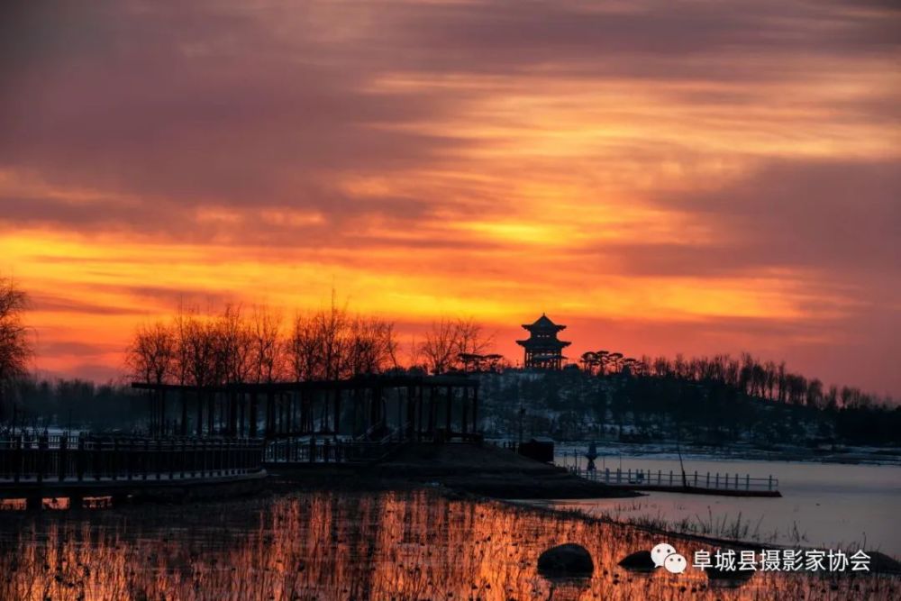 阜城县,阜城湖公园,沙建文,龙砚,常敬林,沈承勇