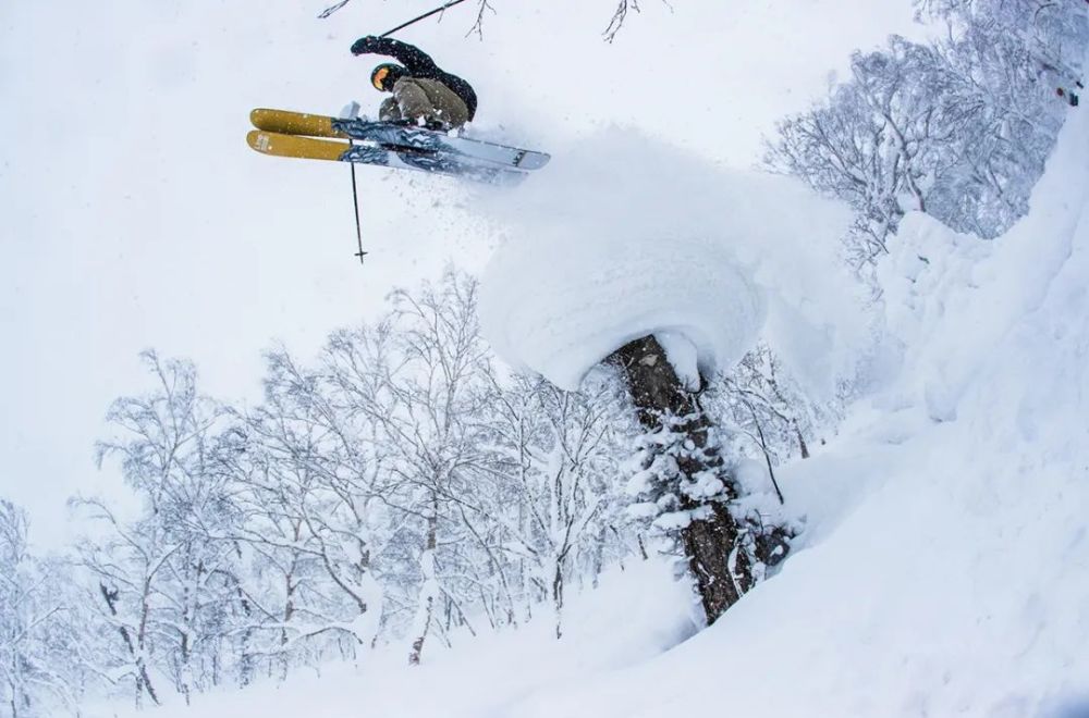 skiing 双板滑雪