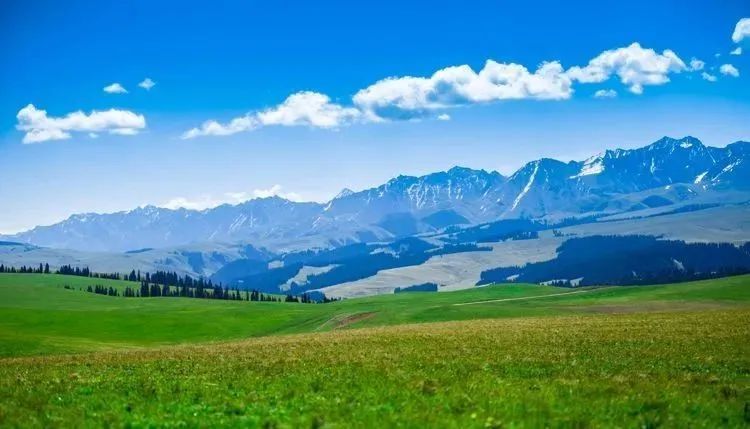 天山草原的喀拉峻,空气通透,景色宜人堪称神仙画作