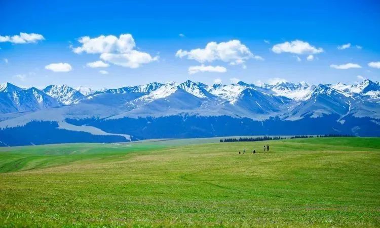 天山草原的喀拉峻,空气通透,景色宜人堪称神仙画作