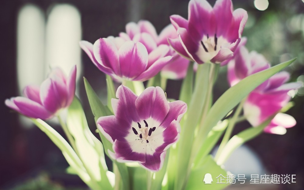 4月29日星座运势 白羊事半功倍 狮子乐观积极 射手深思熟虑 看点快报