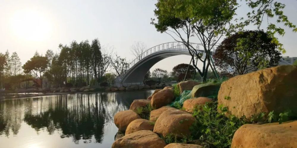 丰收湖公园,钱塘智慧城,杭州,公园