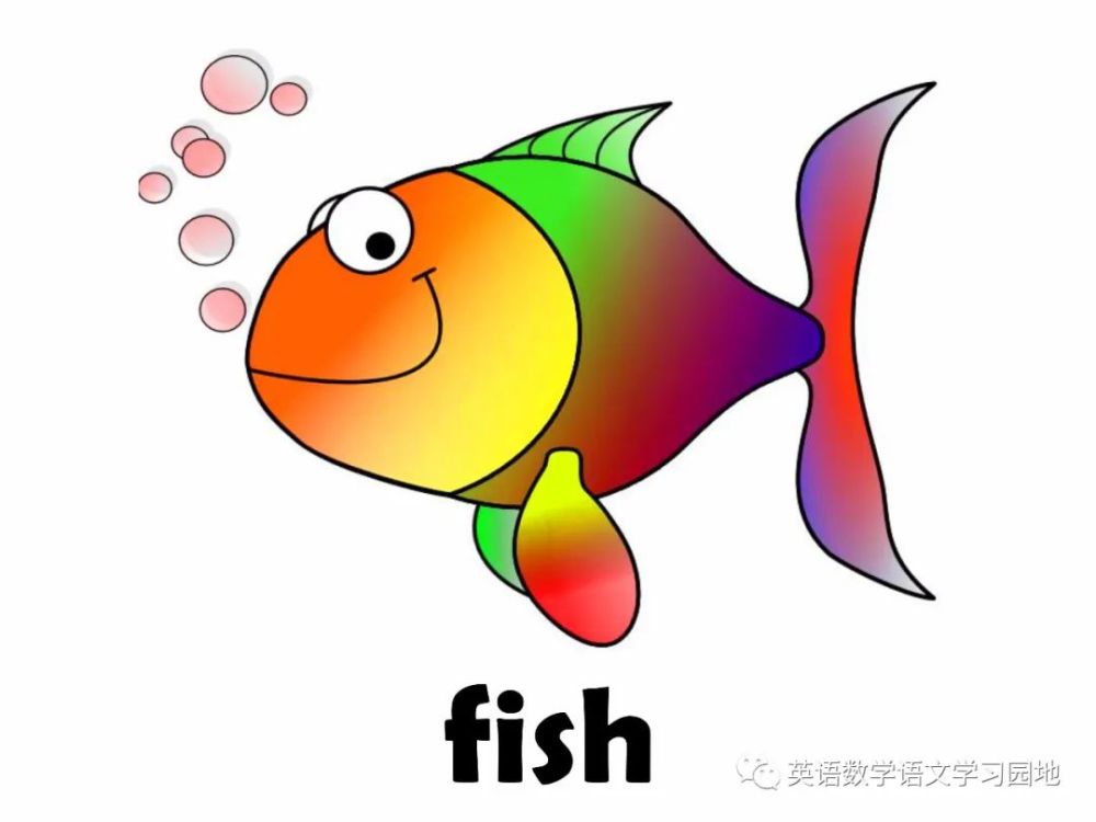 animal flashcards 27个动物英语学习卡片