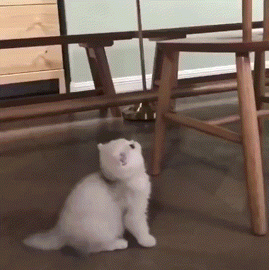 380_381gif 动态图 动图