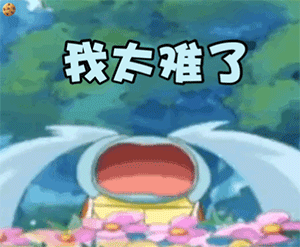 你骂我我吃亏你就是个小乌龟