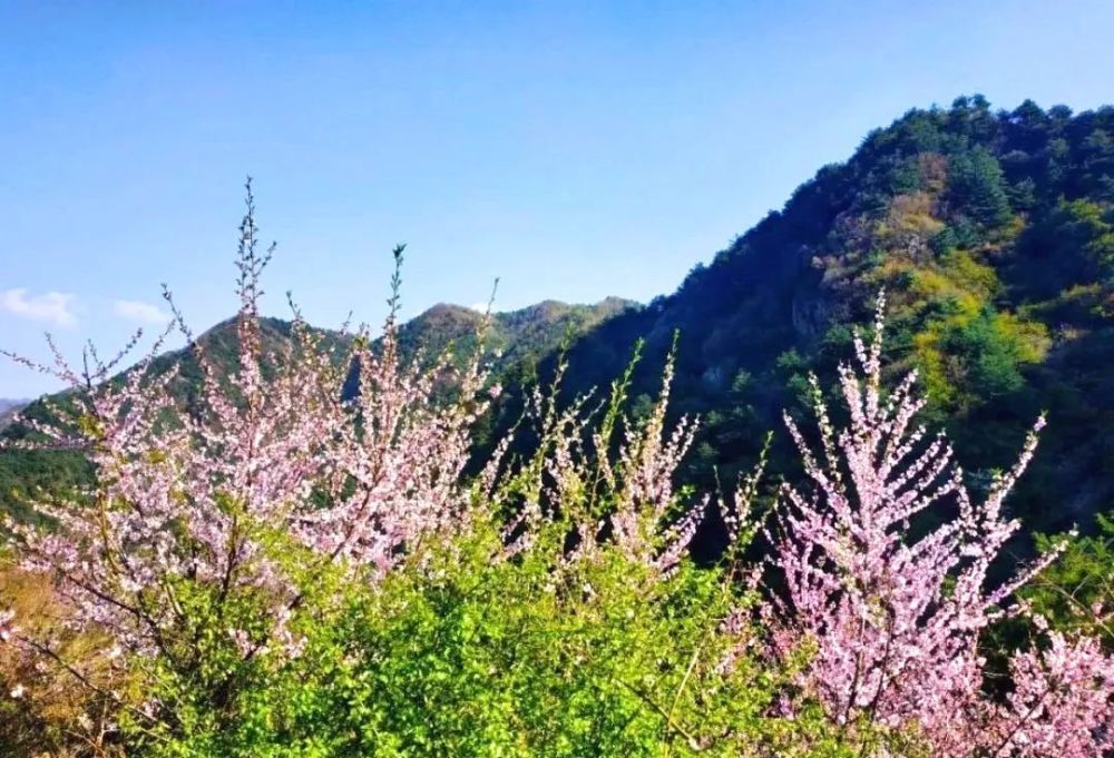 王顺山国家森林公园,蓝田