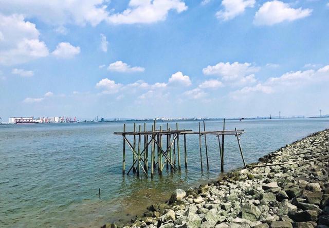 海岛,海鸥岛,自然清新,大海,身心放松