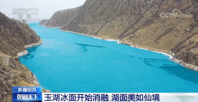 639_331gif 动态图 动图