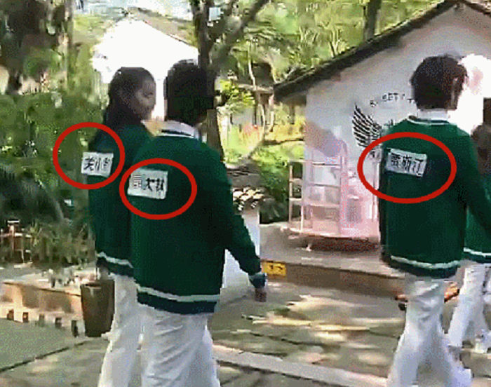 蔡徐坤,跑男,撕名牌,关晓彤,名字