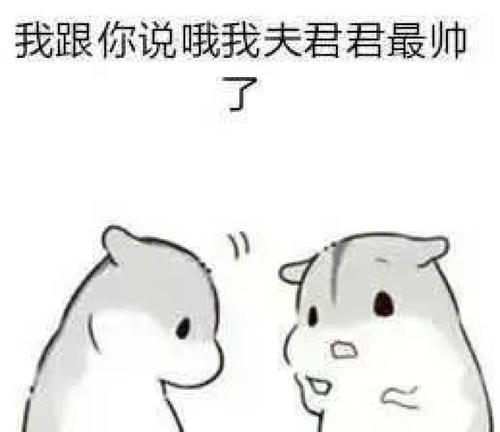 仓鼠表情包:夫君晚安