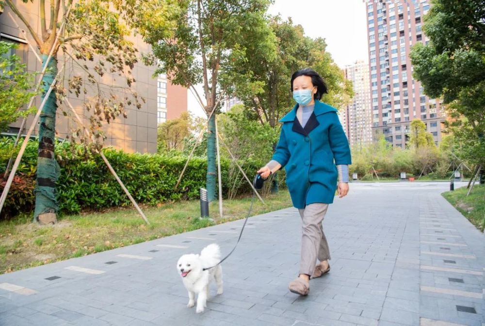 遛狗牵绳,让城市更文明.