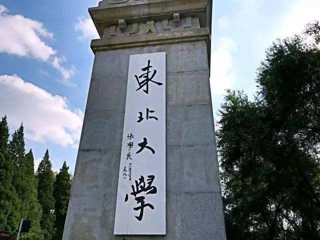 985大学,高校,西北工业大学,东南大学,东北大学,工科,建筑学,电子科学