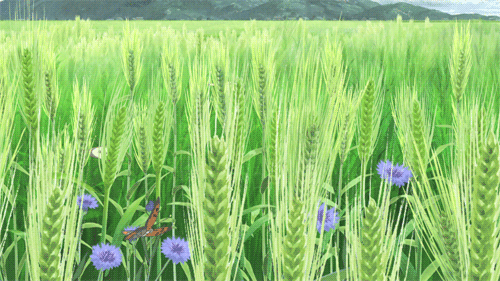 壁纸 成片种植 风景 植物 种植基地 桌面 500_281 gif 动态图 动图