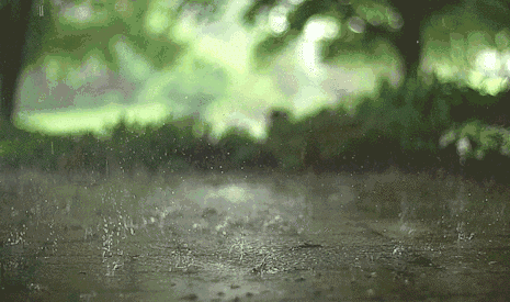 气温持续30℃ !好在阳光已余额不足,雨水在路上了
