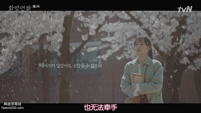 恰同学少年,漫步樱花大道,浪漫到极致,而少女情怀总是诗.