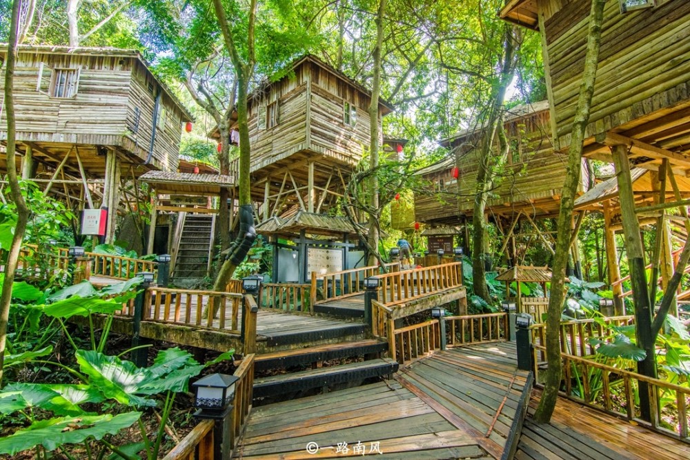 广东,清远,英德,旅游胜地,树屋